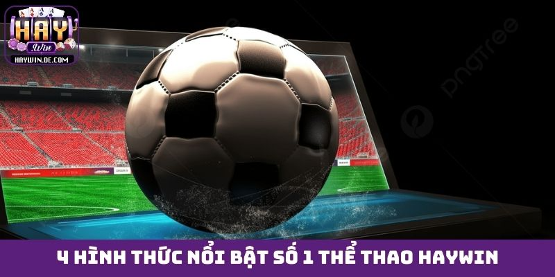 4 hình thức nổi bật số 1 thể thao HAYWIN