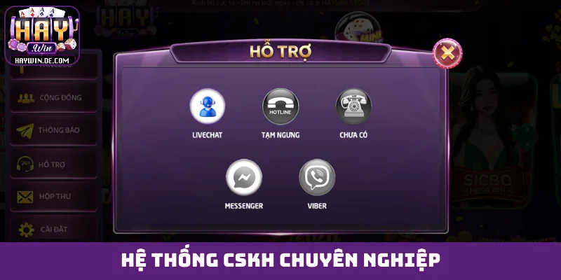 Hệ thống CSKH chuyên nghiệp
