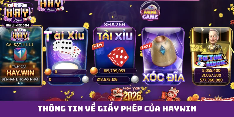 Thông tin về giấy phép của HAYWIN